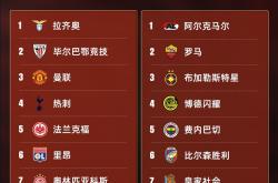 开云APP-东道主力挺，里昂晋级淘汰赛的简单介绍
