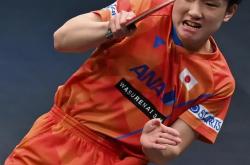 开云体育中国-瑞典队绝杀英格兰队，张本智和点燃赛场的简单介绍