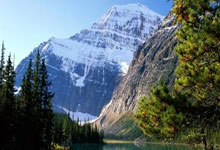 开云下载-那不勒斯惊天绝杀哥伦比亚，托雷斯点燃世界狂潮