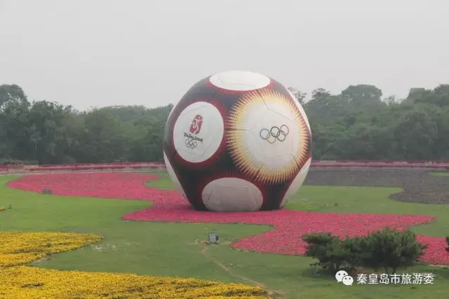包含东亚际足球盛事的最新场地资讯的词条